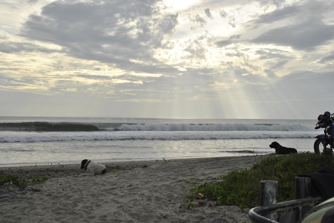 Hotel Surf Sanctuary El Limón Esterno foto